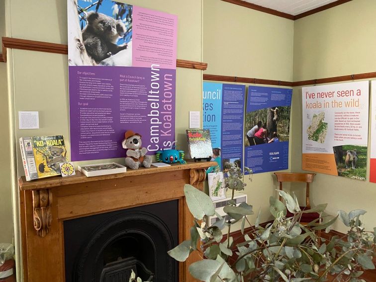 Koalatown Display Room at Campbelltown Visitor Information Centre