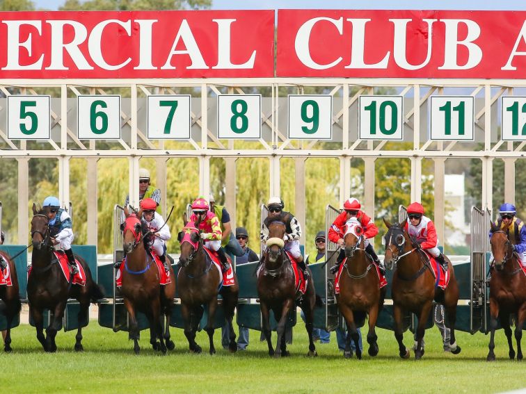 Albury Racing Club on the jump