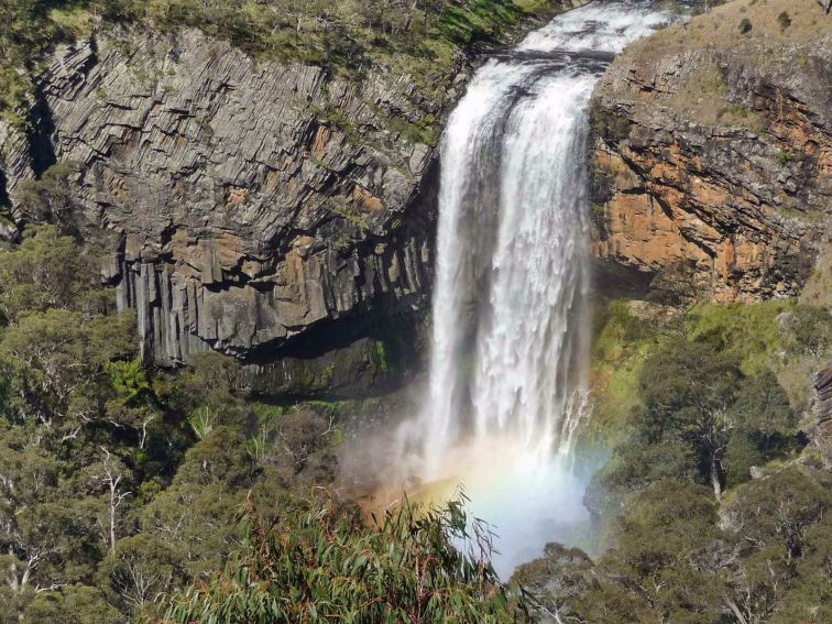 Waterwall Way scenic drive, Dorrigo National Park. Photo: Barbara Webster