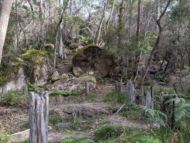 World War II Tank Traps Mount Lindesay