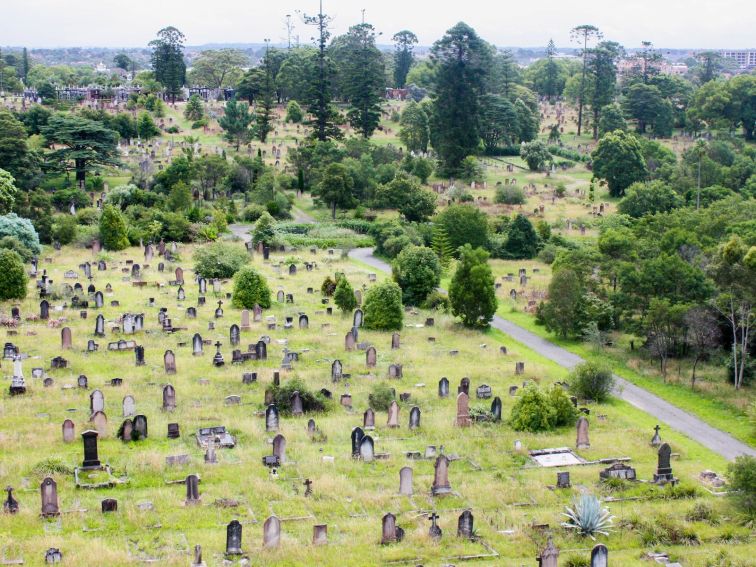 Historic Rookwood Cemetery