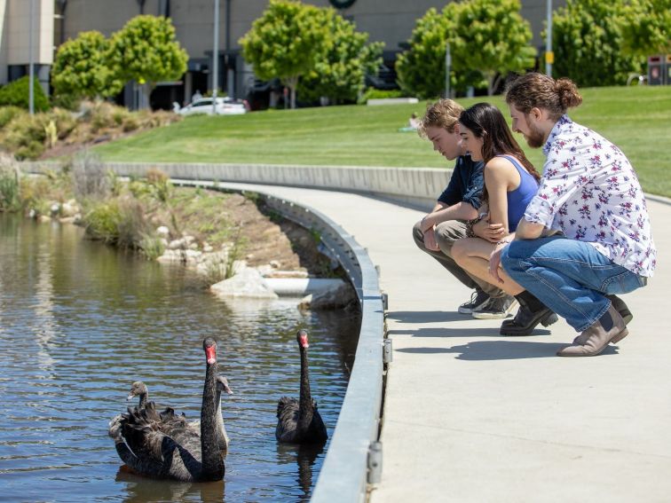 Queen Elizabeth II Park Queanbeyan