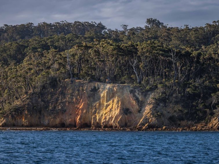 Twofold Bay, Eden, Sapphire Coast NSW