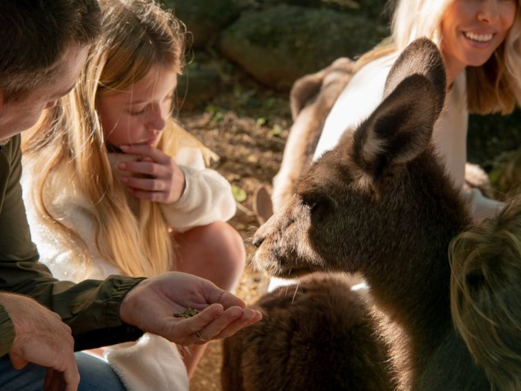 Byron Bay Wildlife Sanctuary