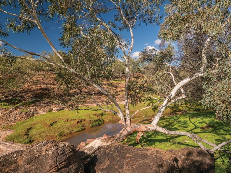 Mount Grenfell Historic Site