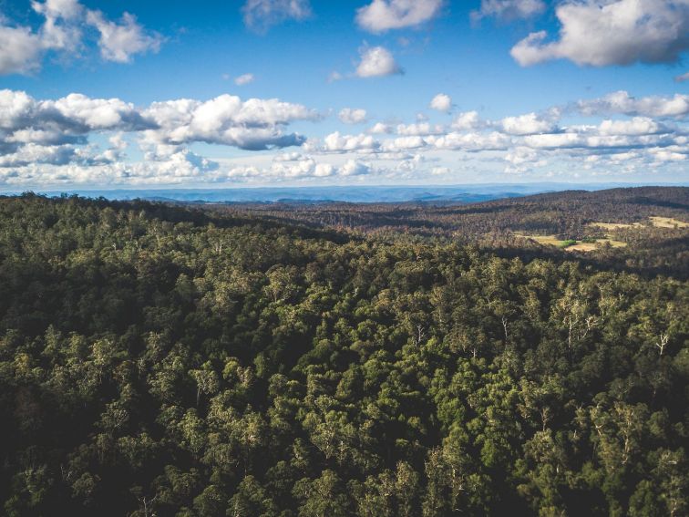 The view from Cobark Lookout in Barrington Tops State Forest