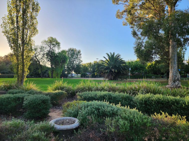 Burley Griffin Community Gardens