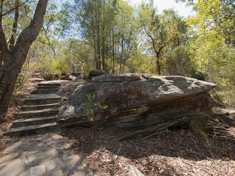 Mooney Mooney nature walk