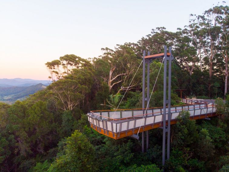 Forest Sky Pier