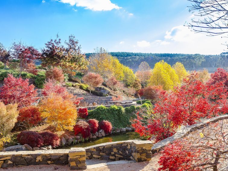 Autumn Colours at Mayfield