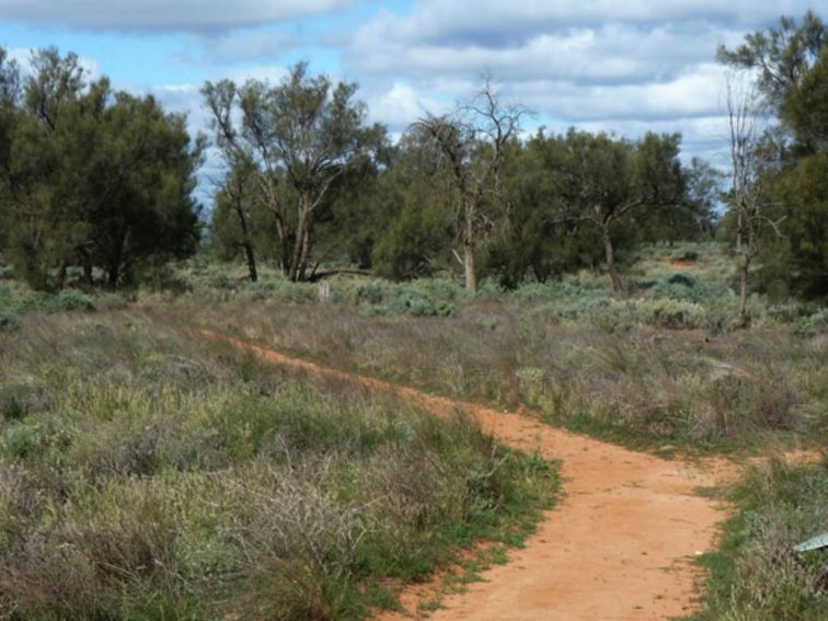 Grasslands Nature trail