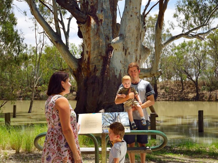 family under big tree