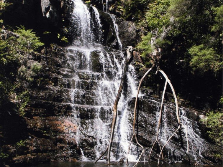 kanangra boyd national park