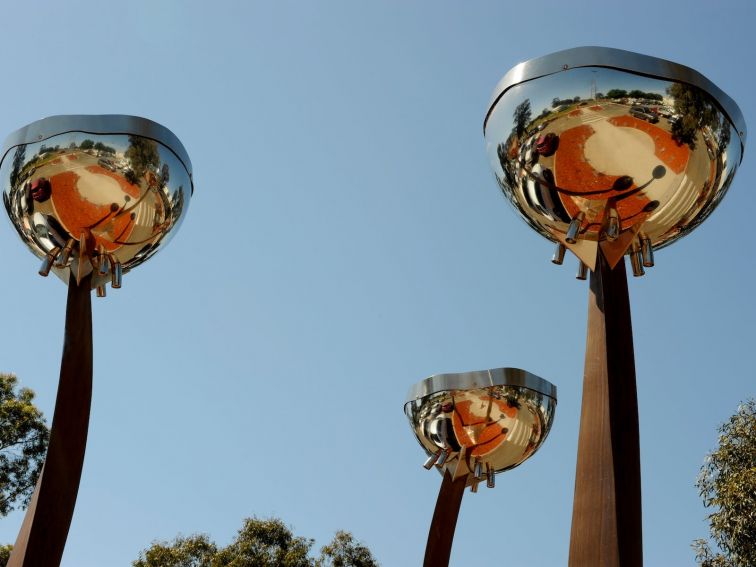 Public Artwork in Wagga Wagga