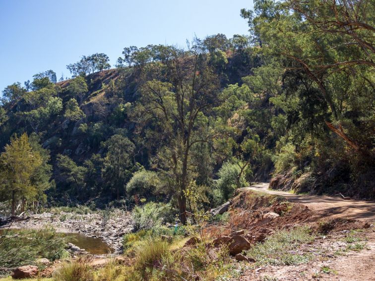 A slim dirt road on the Bridle TRack