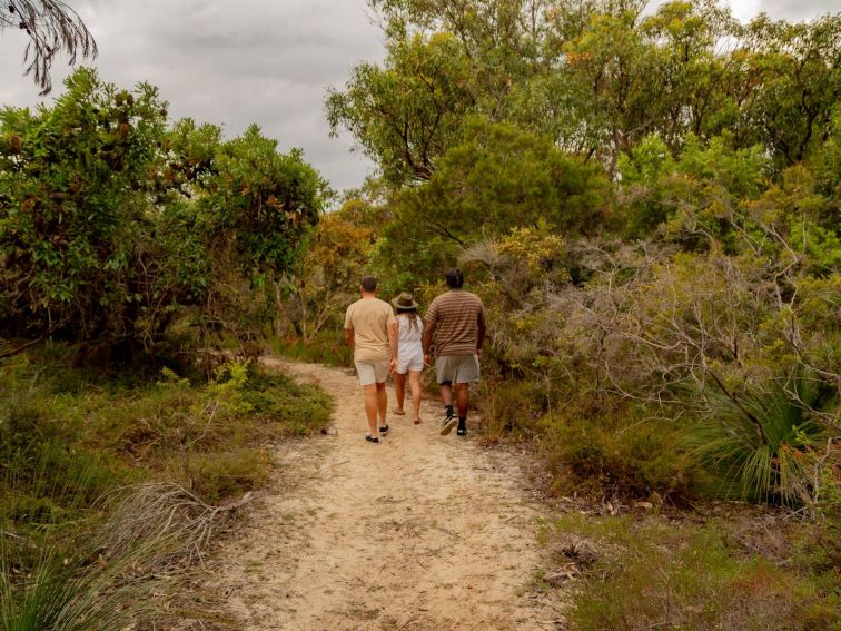 Tracks through Dirawong Reserve