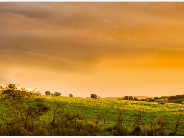 an orange sky dominates with a lightly-treed green hill below