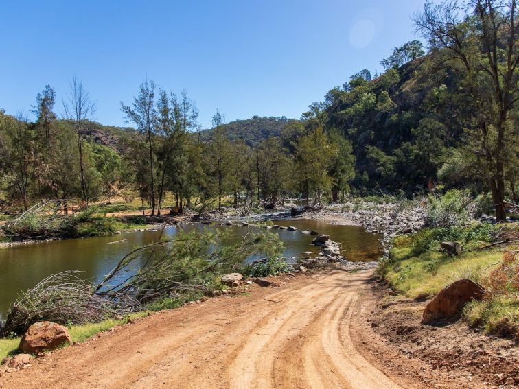 The Root Hog Crossing At the Bridle Track