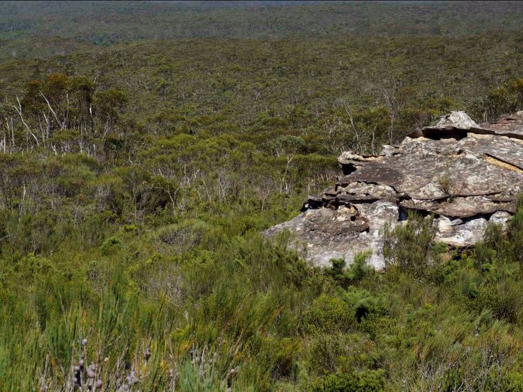 Wentworth Falls to Murphys Glen via Ingar campground, Blue Mountains National Park.