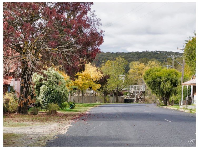 Trees with red, yellow, green and grey foliage line a village street; railway bridge in background