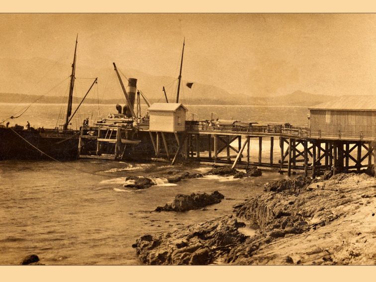 Steamship loading timber at Bermagui Wharf