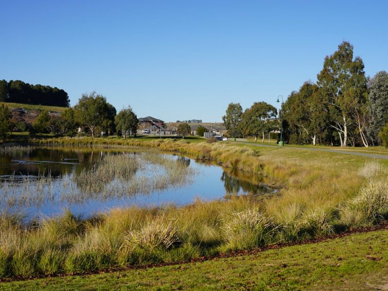 Pond near the skate park