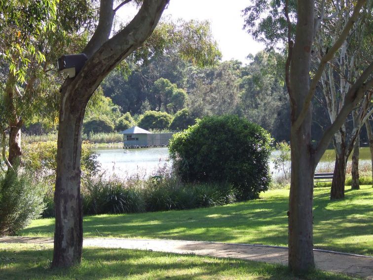 Take a stroll around the wetlands