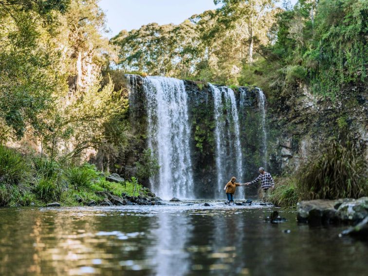 View from bottom of Dangar Falls