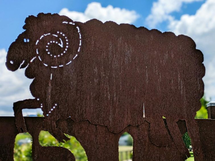 Murrurundi Entry sign sheep