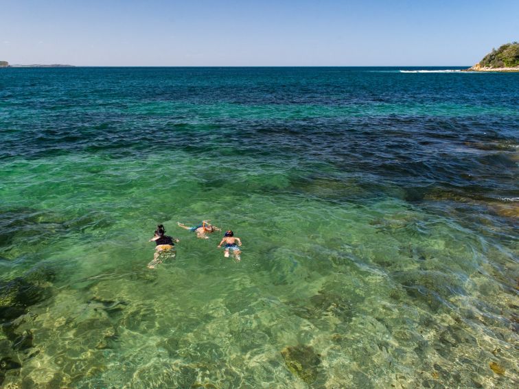 Snorkeling Cabbage Tree Bay