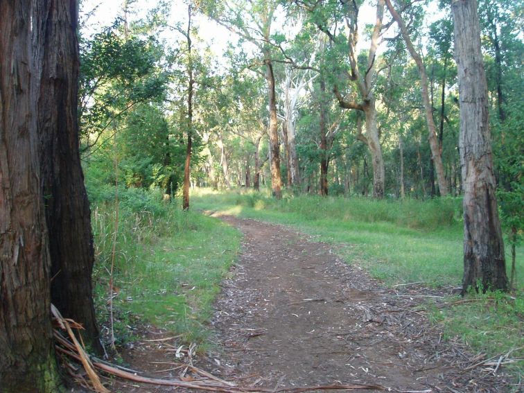 Blackbutt Forest Reserve | NSW Government