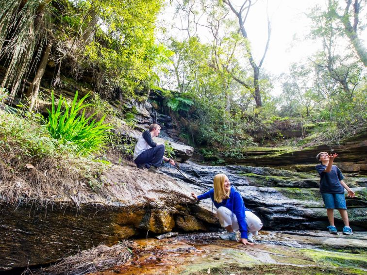 Walk in the Northern Beaches