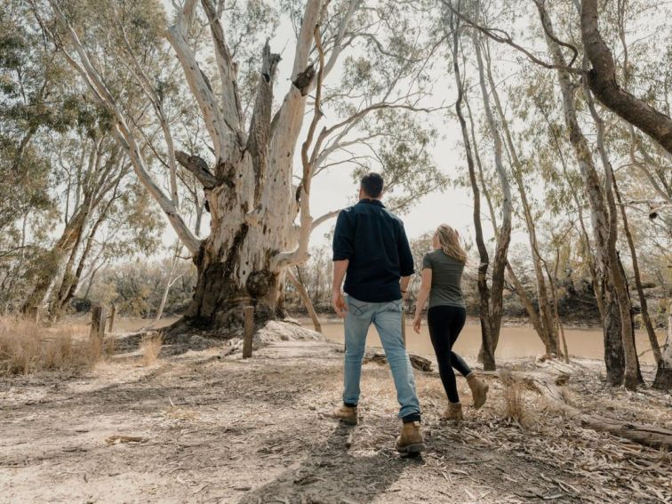 Moulamein River Walk