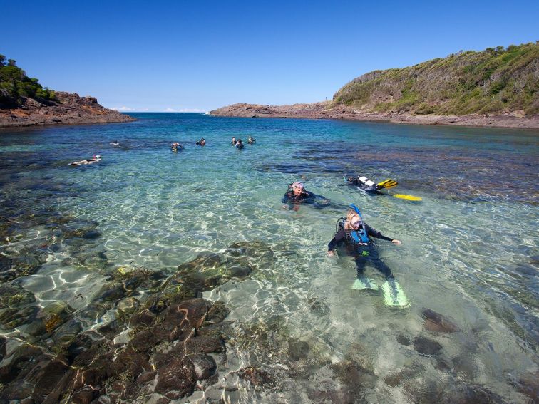 Bushrangers Bay Aquatic Reserve