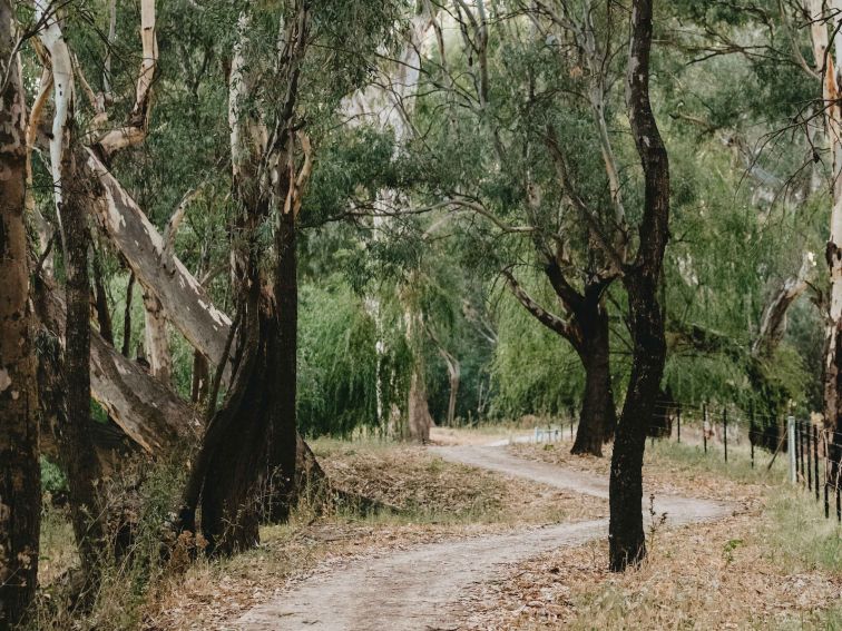 Wiradjuri Walking Track in Wagga Wagga