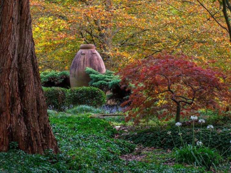 Windyridge Garden Mount Wilson