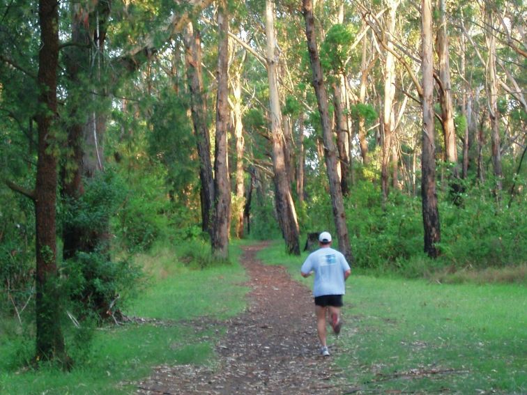 Blackbutt Forest Reserve | NSW Government