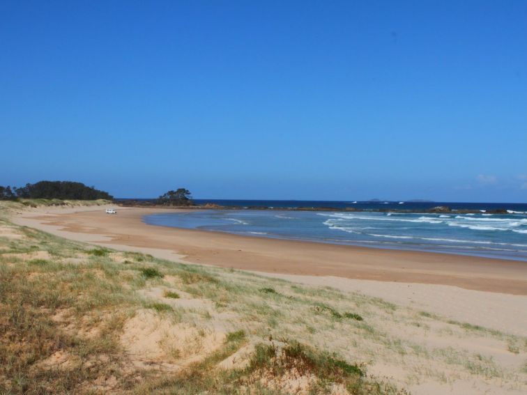 Looking north. Pebbly Beach lies beyond those rocks. That van is actually standing guard over bird n