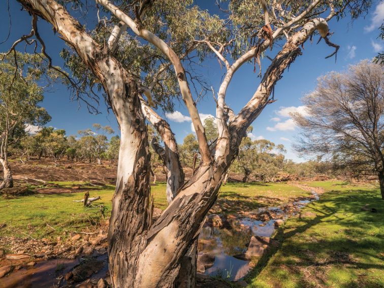 Mount Grenfell Historic Site