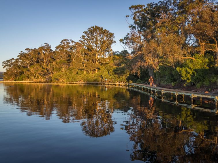 Merimbula Boardwalk, walks, Merimbula, walking, dog friendly, Sapphire Coast, South Coast