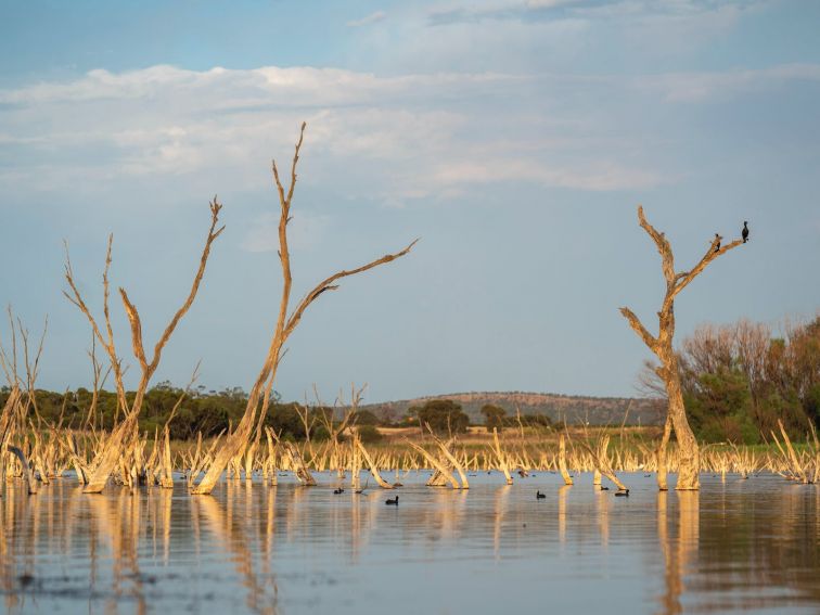 Lake Wyangan