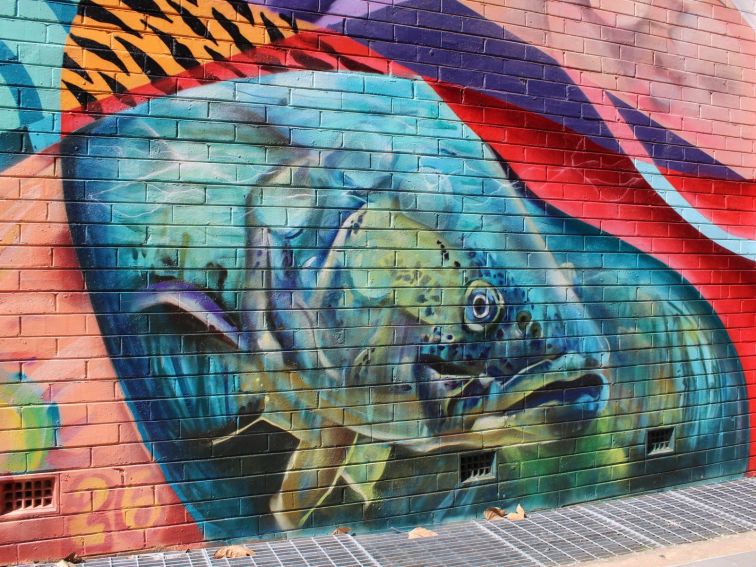 Cowra Laneway Mural