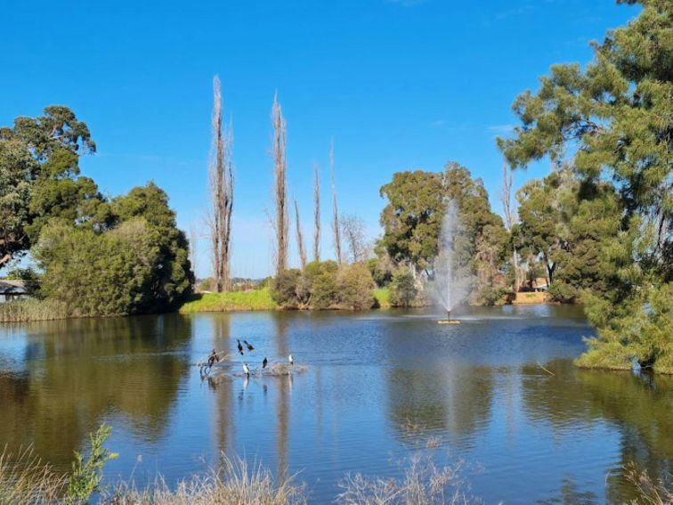 Bushman's Dam