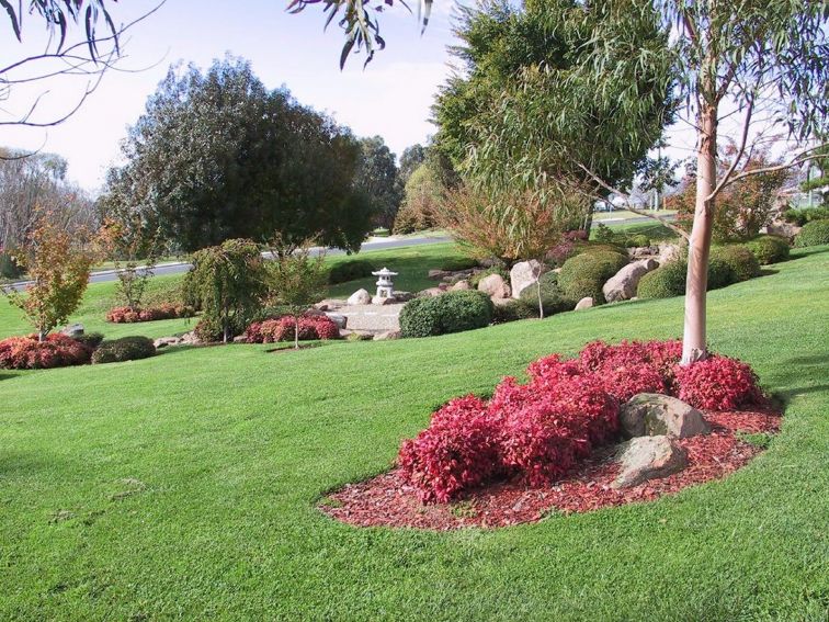 Ohkuma Japanese Gardens in Macquarie River Bicentennial Park Bathurst.