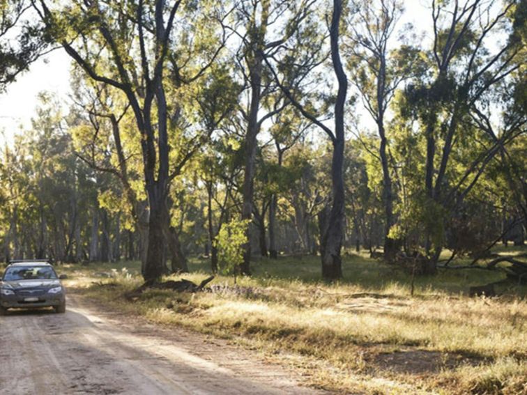 Car touring, Murray Valley National Park. Photo: David Finnegan &copy; DPIE