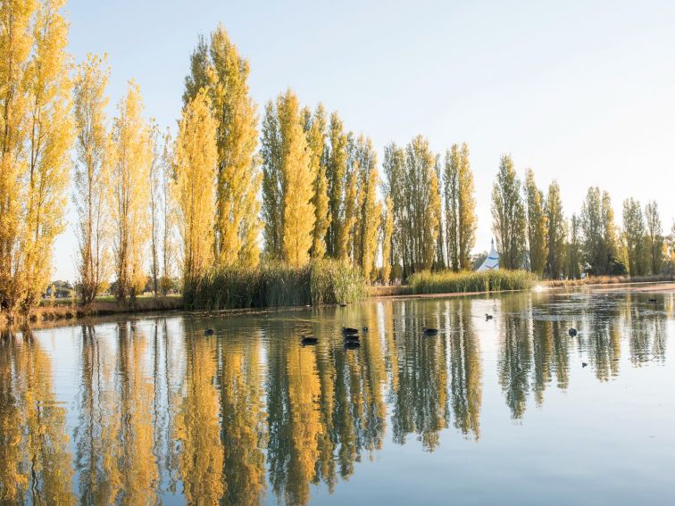 Autumn along The Main Canal - Griffith