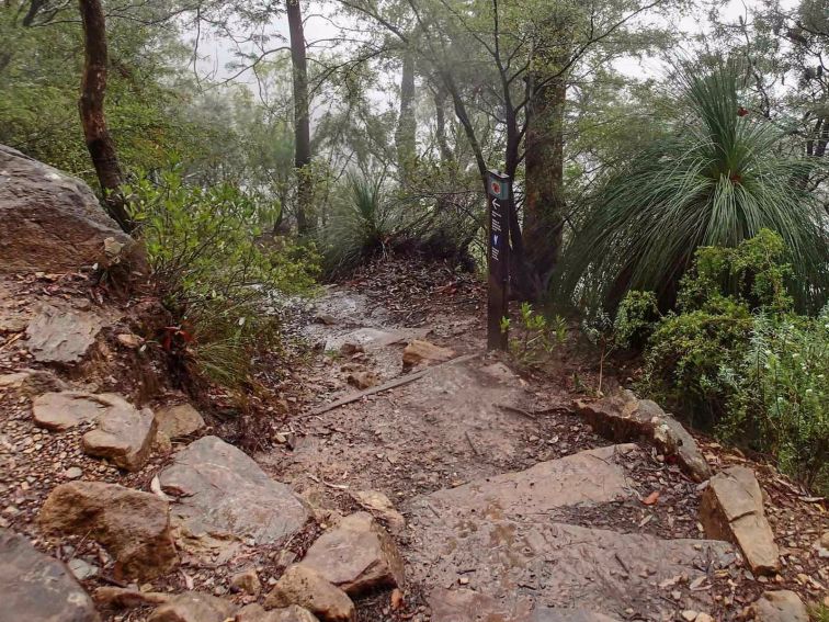 Wentworth Pass loop walk, Blue Mountains National Park. Photo: A Gliddon