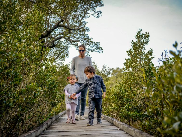 Mangrove Boardwalk at Jervis Bay Maritime Museum