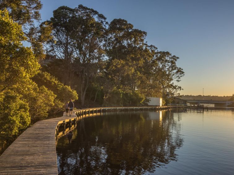 Merimbula Boardwalk, walks, Merimbula, walking, dog friendly, Sapphire Coast, South Coast