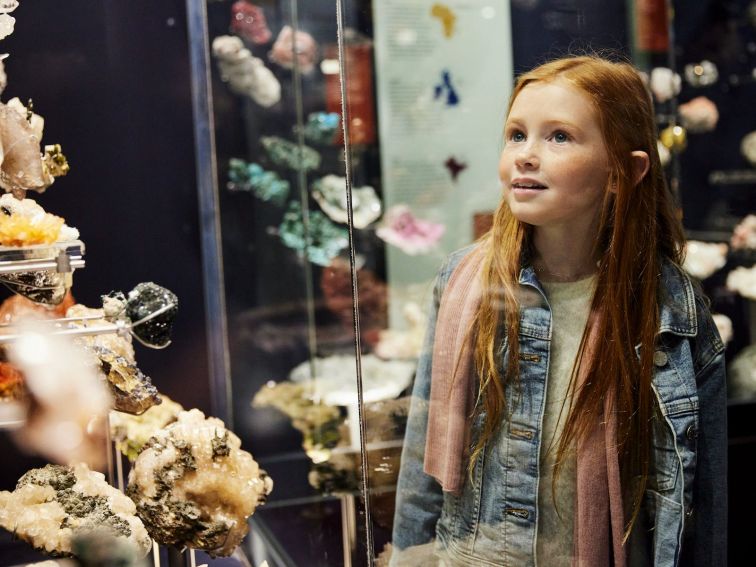 Australian Fossil and Mineral Museum, Bathurst